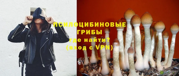хмурый Абинск