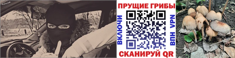 KRAKEN зеркало  Старый Крым  Псилоцибиновые грибы GOLDEN TEACHER 